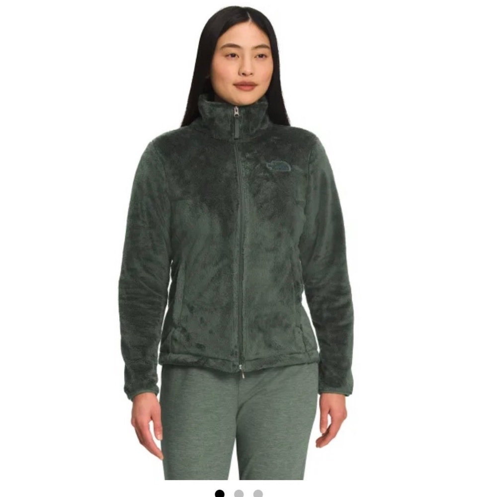 The north face Osito jacket